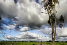 即将复出，记者：诺伊尔自小腿受伤以来首次恢复有球训练.