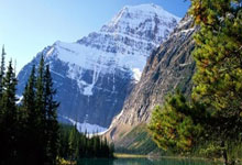 劳塔罗：我感谢所有花时间和捐款帮助那些失去家园的人的人们.